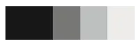 A bathroom colour palette swatch in black, mid-grey, light grey, and white.