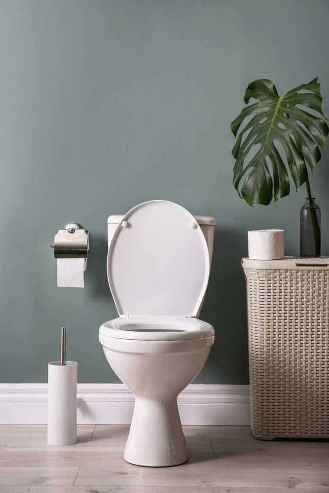 Fix Leaky Toilets