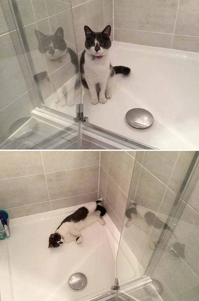 Square Flat Top Tray