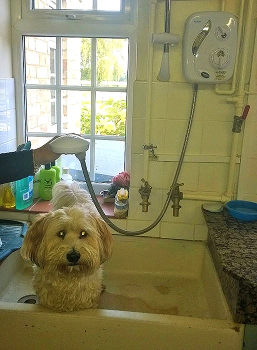 Thermostatic Power Shower White and Chrome