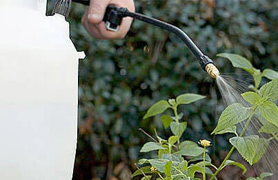 Garden sprayer