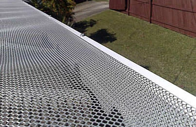 Mesh leaf guard