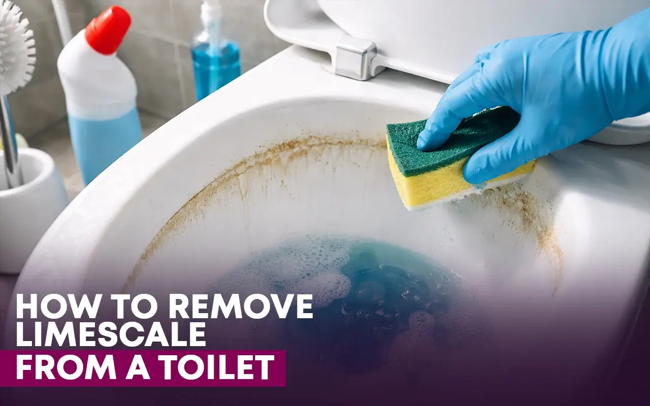 How To Remove Limescale From A Toilet