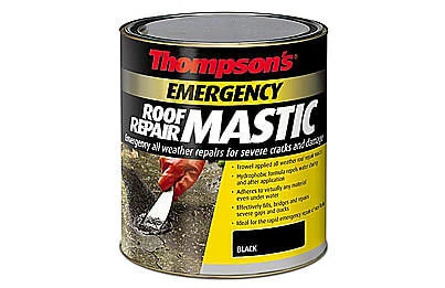 Roof mastic