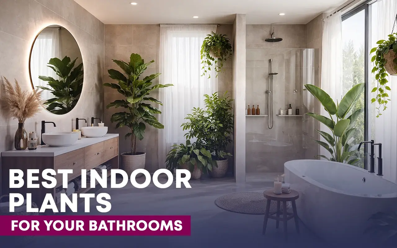 The Best Indoor Plants for Your Bathroom